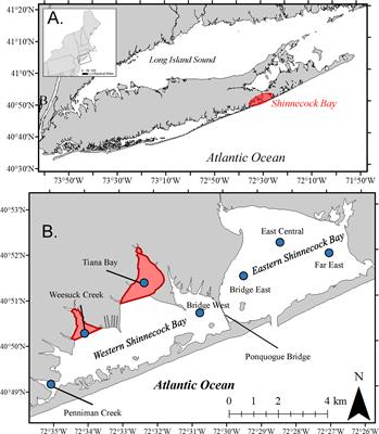 Frontiers | Rebuilding A Collapsed Bivalve Population, Restoring